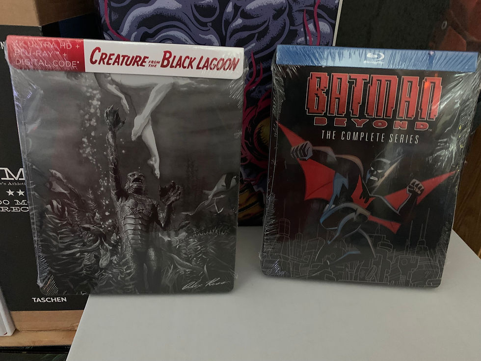 Creature and Batman Beyond Steenboks
