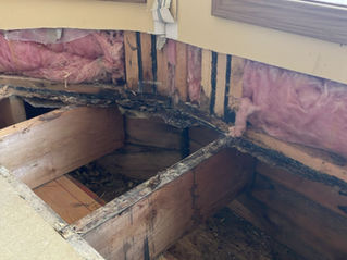 Mold damage in Calgary home bathroom – basement renovation and mold remediation by LBProjects