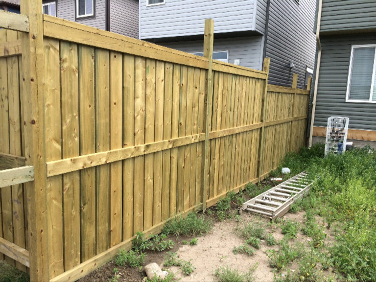 Which Fence is the Best for You? A Comparison of Pressure Treated