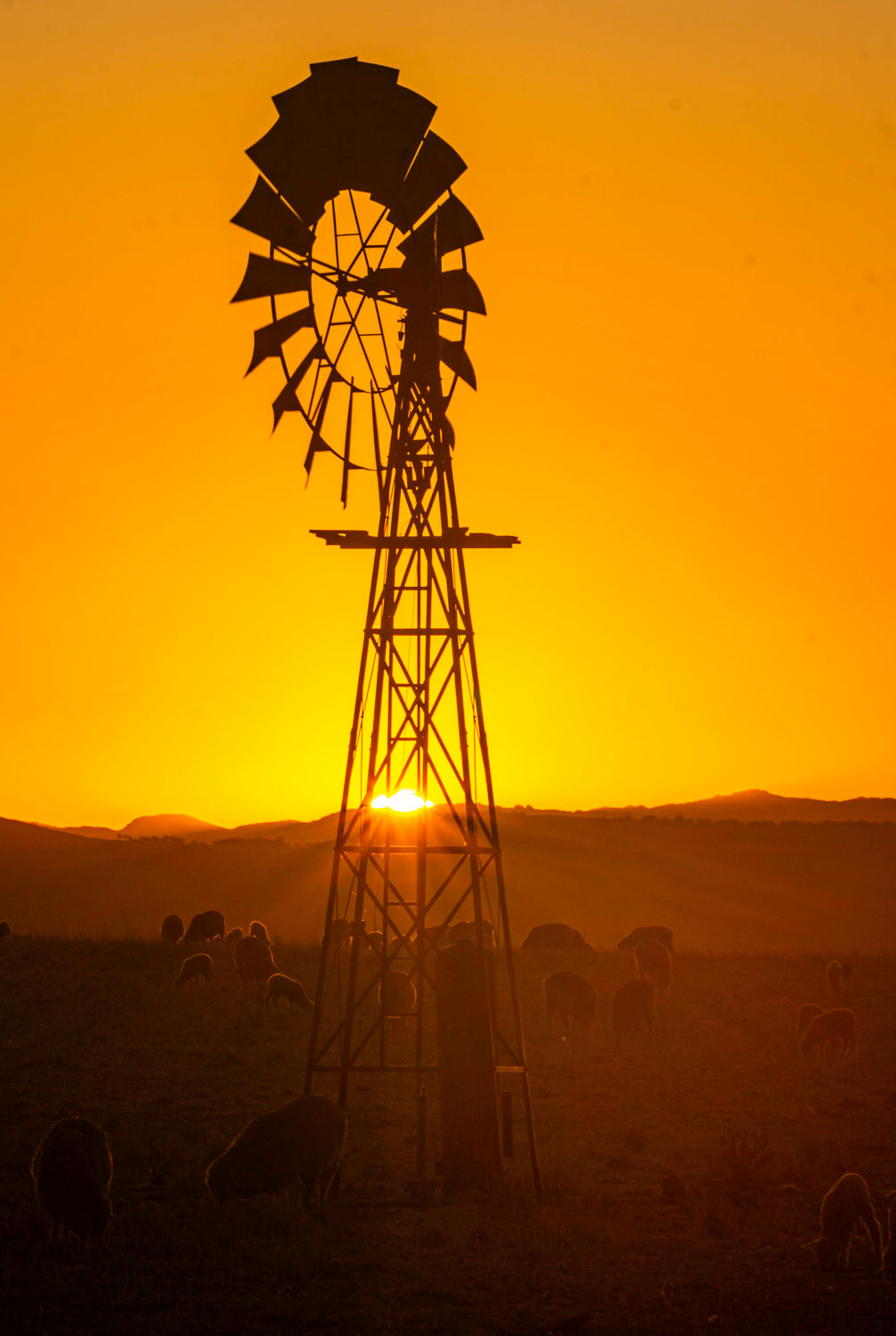High country Sunset