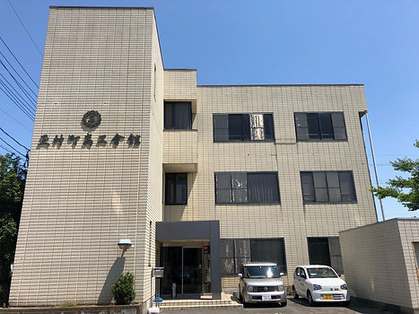 image1.jpeg