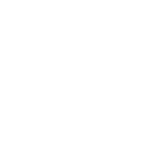 Copy of ay (2).png