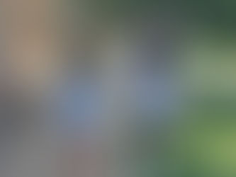 What do preschool teachers do?