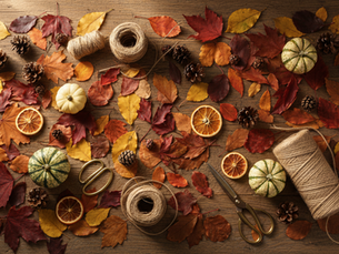 DIY Fall Decorations with Natural Materials Simple Sustainable Ideas to Craft and Store for Next Year