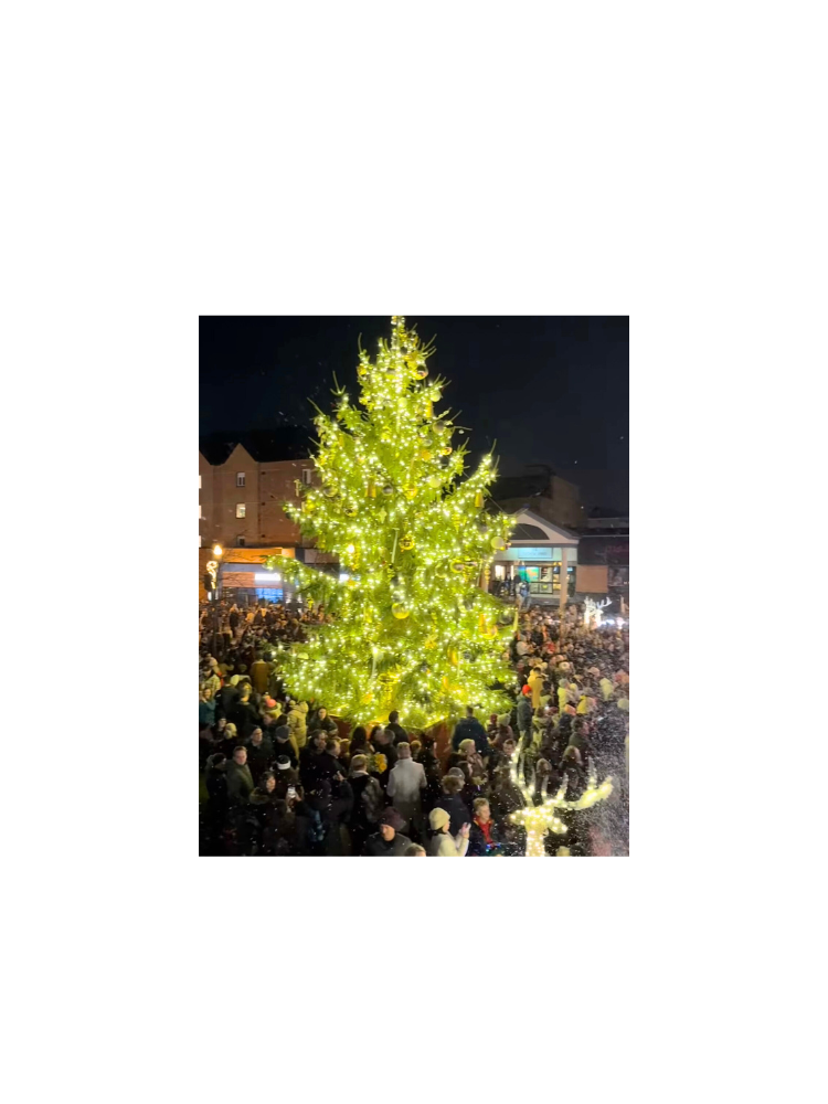 Hometown Holiday