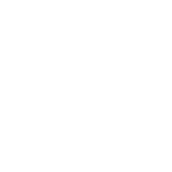 animation.gif