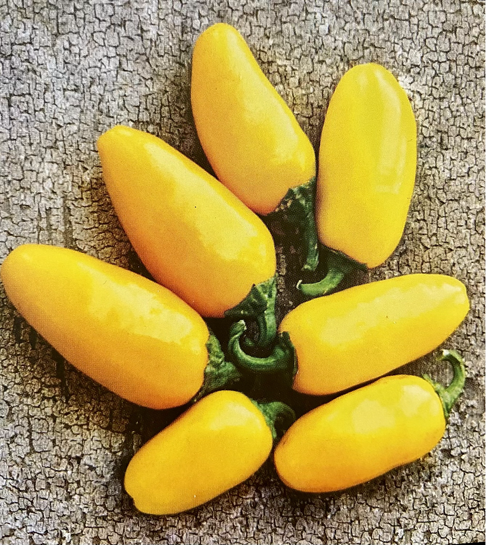Lemon Spice Jalapeno Hot Pepper