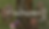 Screenshot 2025-02-10 at 15.15.15.png