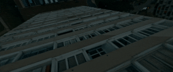 gifcoleo.gif
