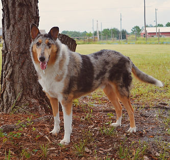 DSC_0635_VSCO.JPG
