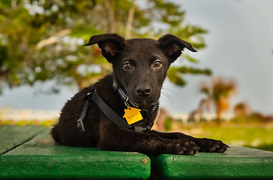 20231003-IO7A8521-Edit.JPG