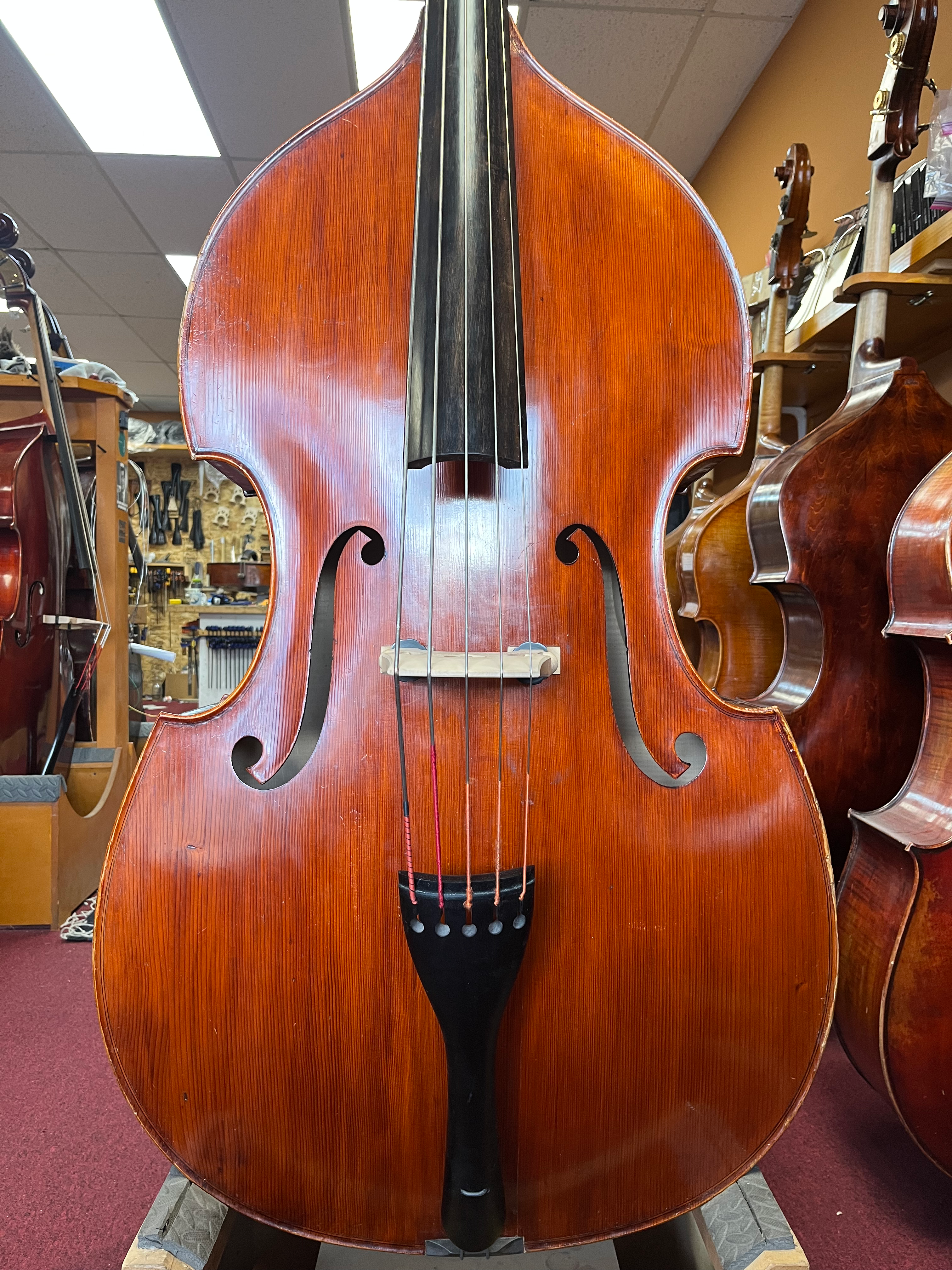 Preowned European 5 string SOLD