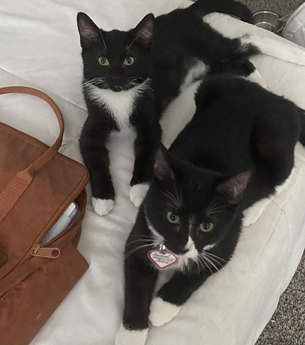 Morgan & Murphy 2.jpeg