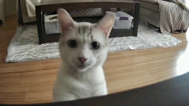 buddy-2.jpeg