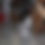 Thumbnail: Sponsor a Colony Cat Monthly