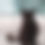 Thumbnail: Sponsor a Colony Cat Monthly