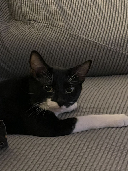 sassy3.jpeg