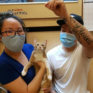 adopted 1.jpeg