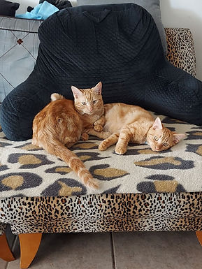 Precious & Jingles