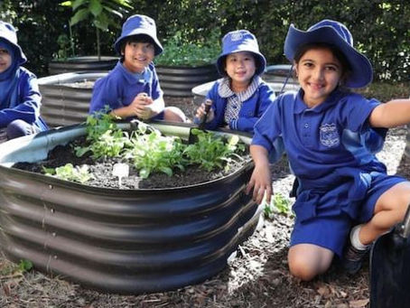 NSW school students to dress in mufti to donate gold coin to help 8000 drought-hit farmers