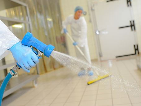 Why is Regular Cleaning And Sanitation Important in The Kitchen?