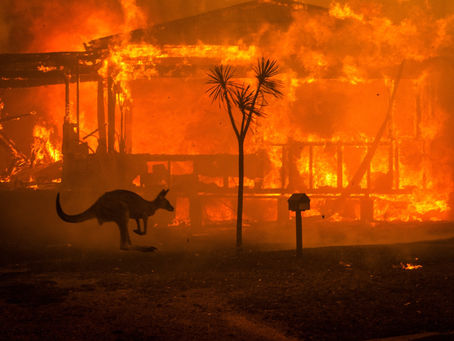 How I Captured the Devastation of Australia’s Fires in One Photo