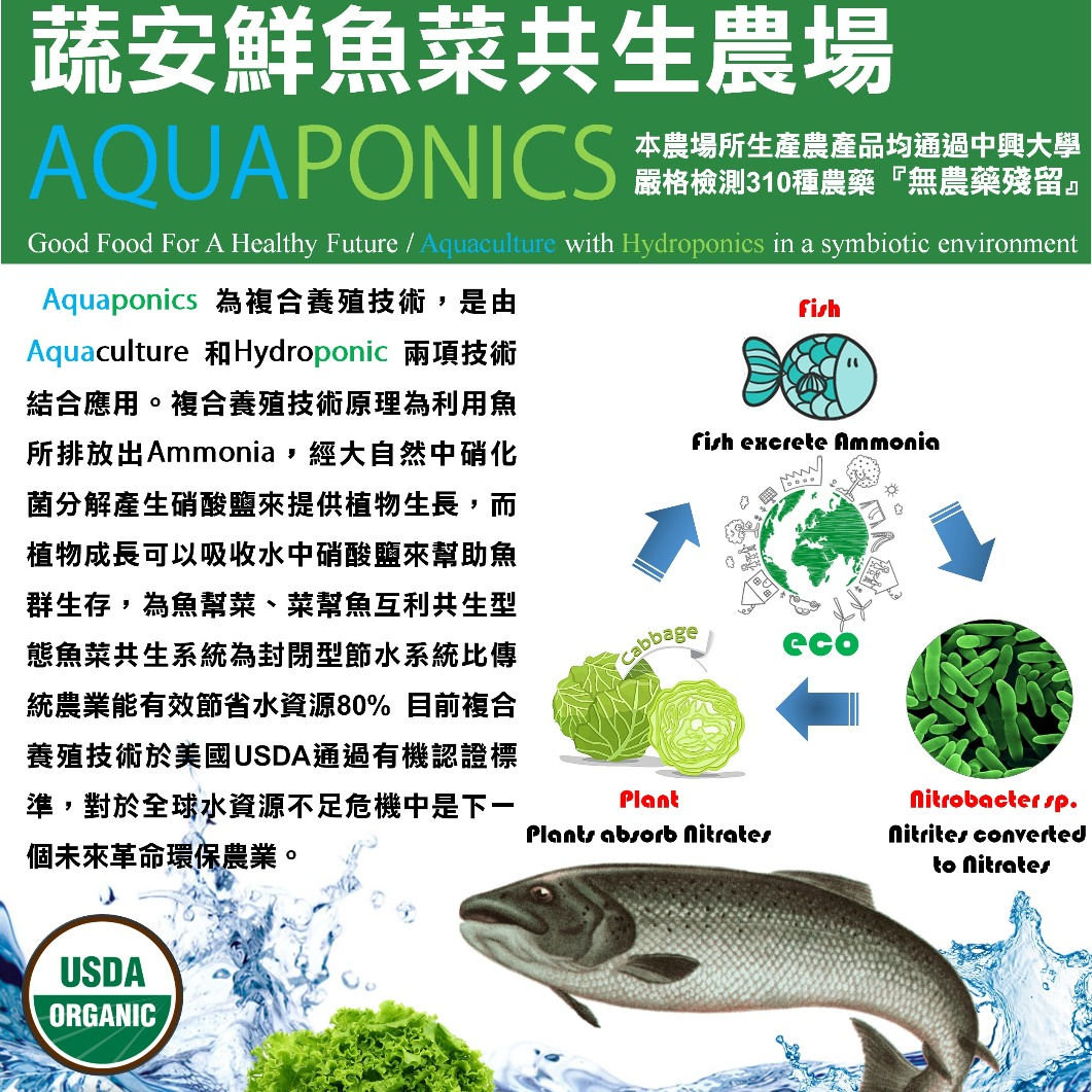 魚菜共生技術初階班