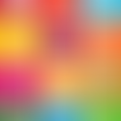 What are the United Nations Sustainable Development Goals?