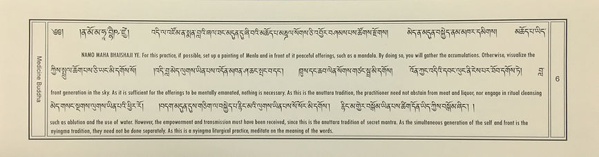 Medicine Buddha Sadhana 6