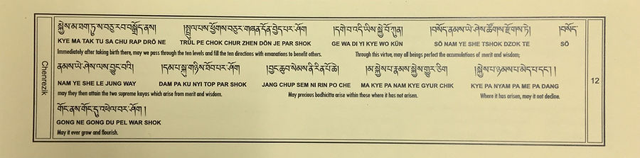 Medicine Buddha Sadhana 12