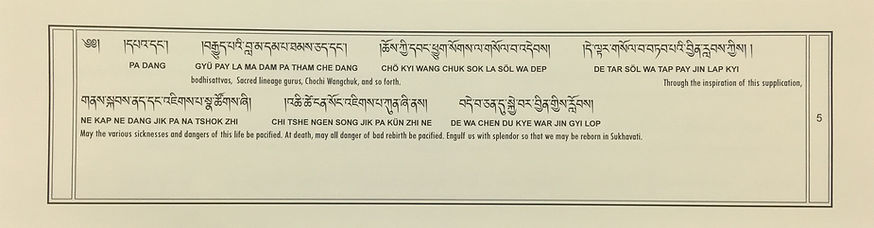 Medicine Buddha Sadhana 5