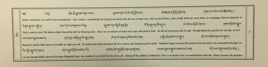 Medicine Buddha Sadhana 7