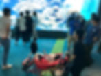 水族館見学中の人々、車椅子に乗った子供、巨大な水槽が背景にあります。