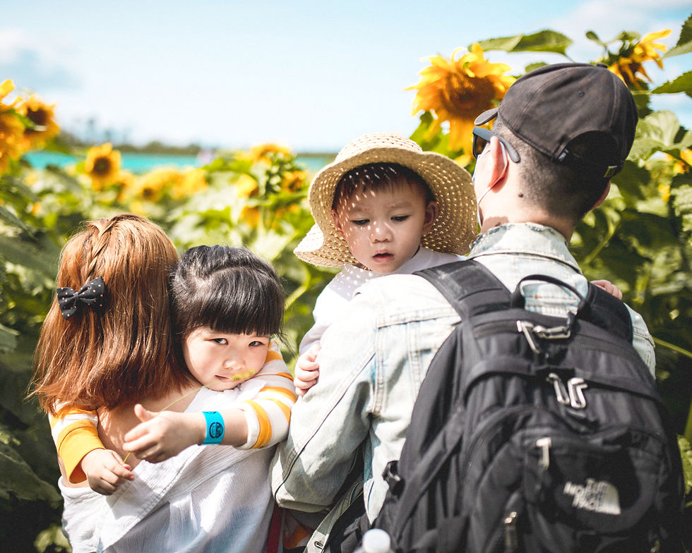 Image by George Zheng