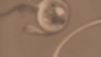 Liquid_Acid_Textures (4)_edited_edited.jpg