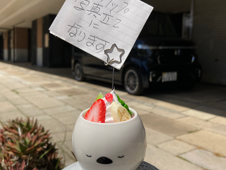 新商品です。