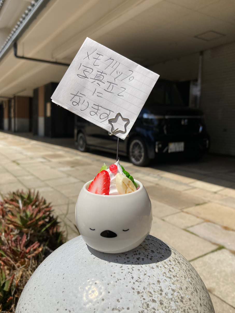 新商品です。