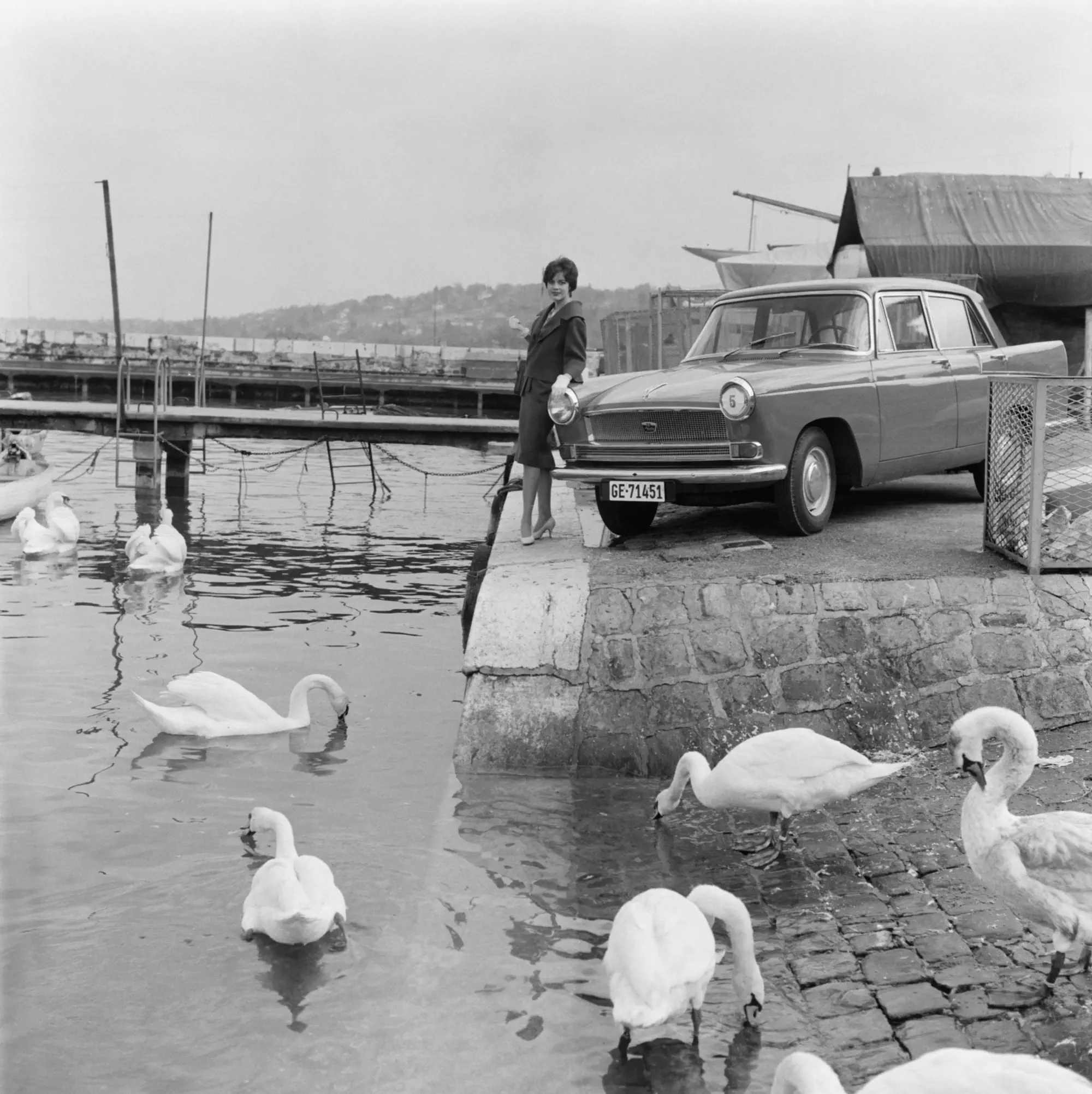Austin A55 Cambridge