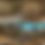 Thumbnail: Fox Fur Glass Vial (naturally shed) - One Vial