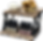 Combo Setup.png