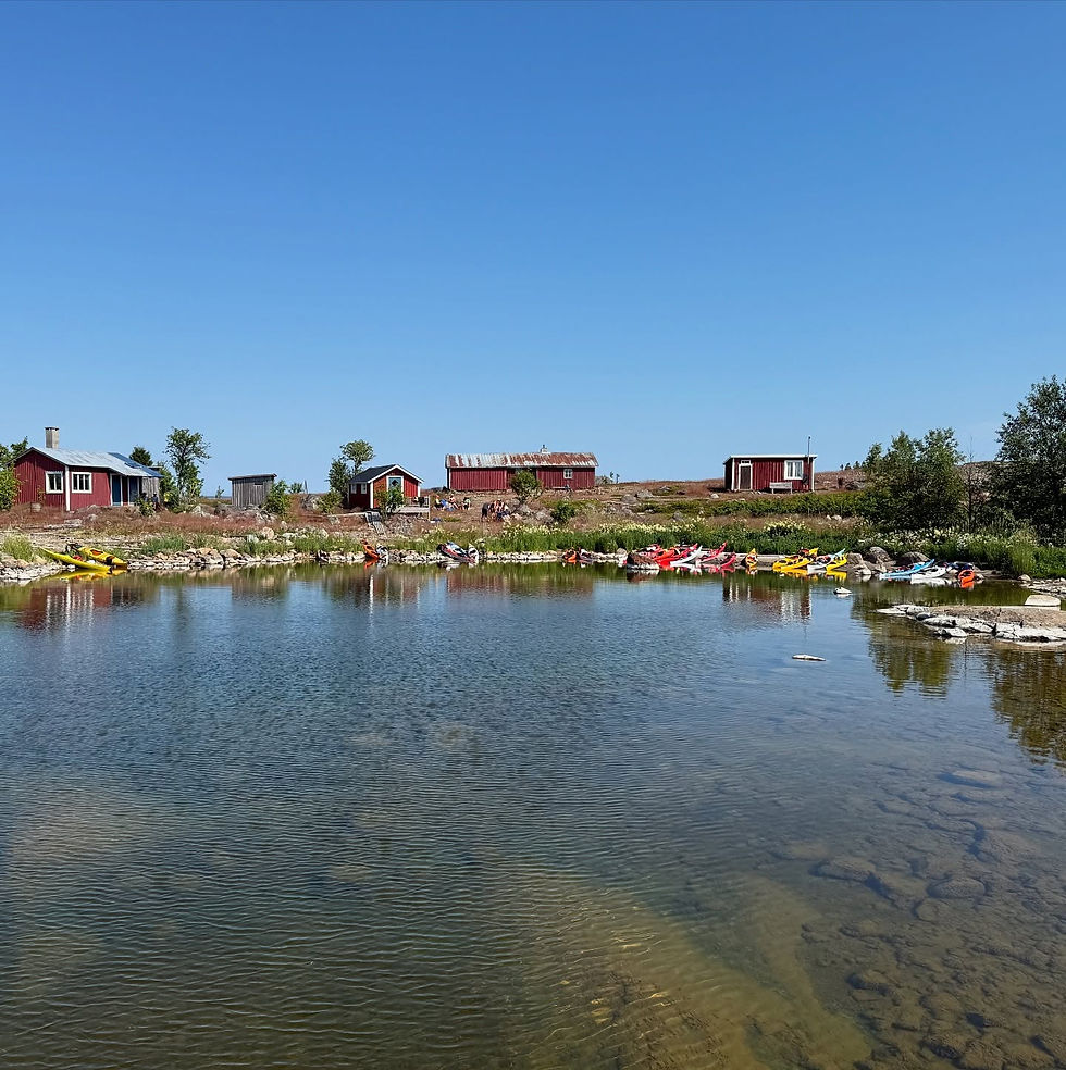 Stora Fjäderägg och kajaker i kvarken