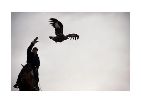 SOARING - THE EAGLE HUNTERS OF MONGOLIA, LAND OF THE ETERNAL BLUE SKY