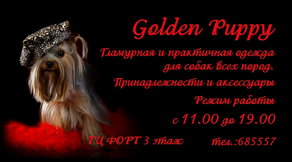 Визитка Одежда для собак