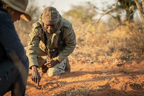 Singita Malilangwe_Guided Bush Walk.jpg