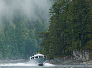 fawn bluff boat.png