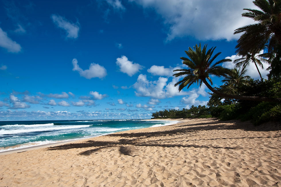 may-north-shore-oahu-hawaii.jpg