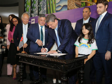 SP lança protocolo Não Se Cale e campanha de combate à violência contra mulheres