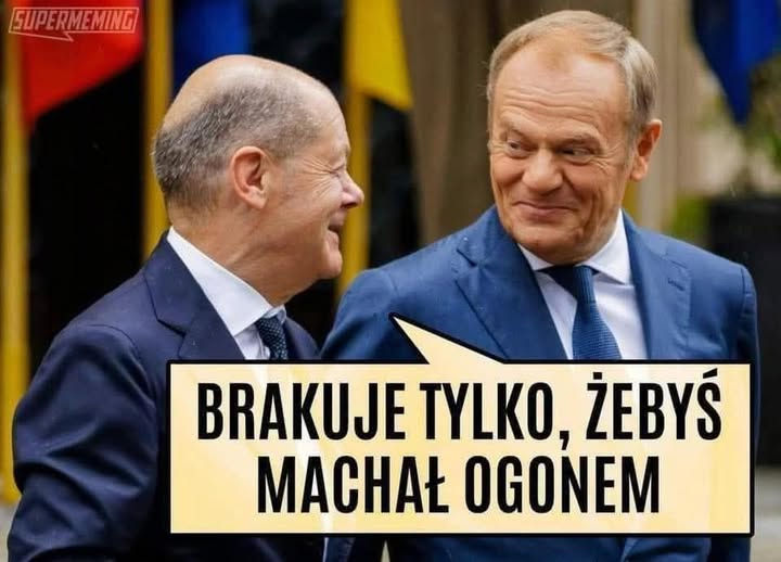 „Wam kury szczać prowadzać, a nie politykę uprawiać.”