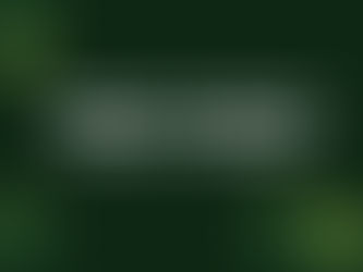                  Bringing The Green Box Project To Pakistan