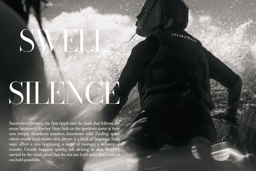 Swell and Silence - Cover